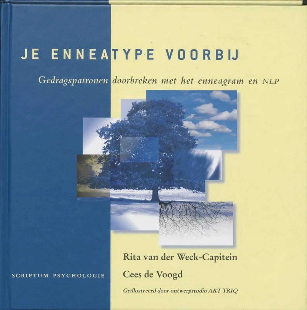 Cover van Je Enneatype voorbij